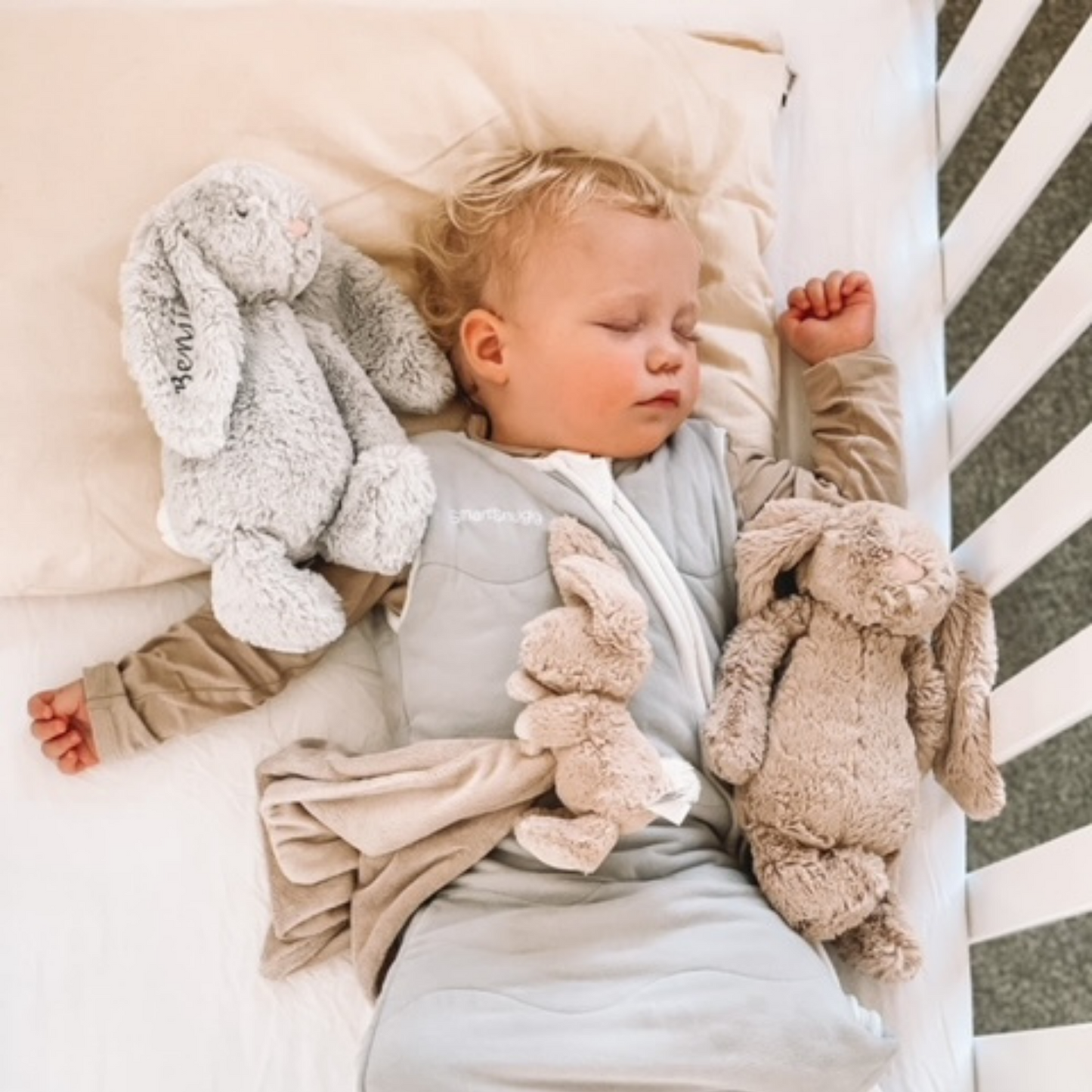 SmartSleeper Infant and Toddler Sleeping Bag