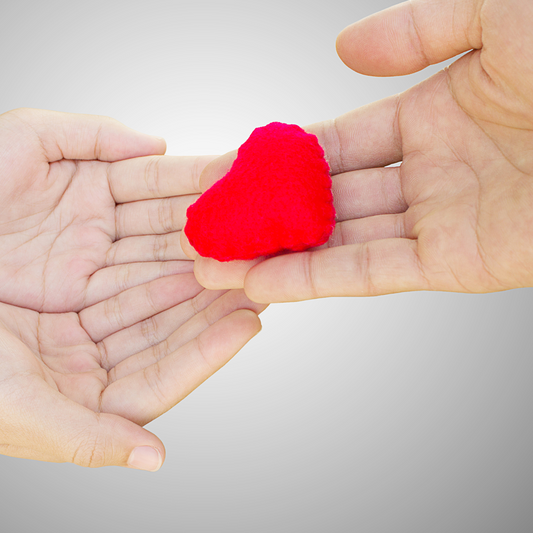 SNOO Hire - SNOO For All Recipient